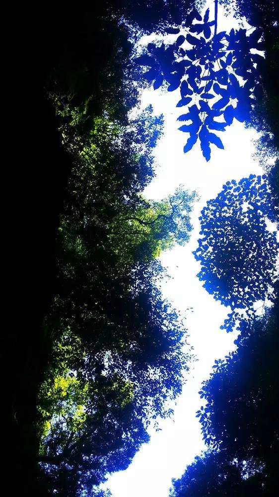上班族救援